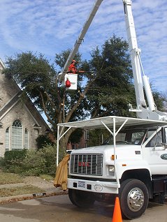 Complete Tree Services Inc.