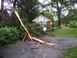 Emergency Storm Damage