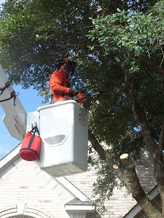 Complete Tree Services Inc.