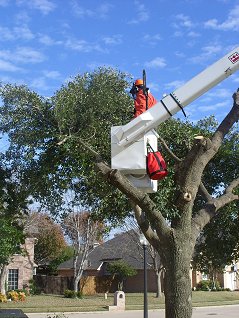 Complete Tree Services Inc.