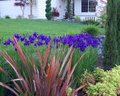 Landscaping Services