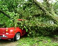 Emergency Storm Damage Cleanup