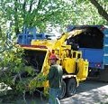 Chipper Services